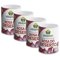 4X Fertilizante Pastilha para Rosa do Deserto (50g) VITAPLAN 4X Fertilizante Pastilha para Rosa do Deserto (50g) VITAPLAN