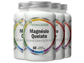 4x Magnésio Quelato 60 Cápsulas 100% Idr 4x Magnésio Quelato 60 Cápsulas 100% Idr