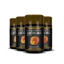 4x oleo de semente de abobora 1400mg 60caps hf suplementos