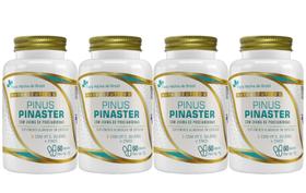 4x Pinus Pinaster Com Procianidinas 200mg + Vitamina E + Selênio + Zinco 60 Cápsulas