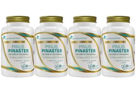 4x Pinus Pinaster Vitamina E Selênio Zinco 60 Capsulas FNB 4x Pinus Pinaster Vitamina E Selênio Zinco 60 Capsulas FNB