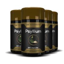 4x psyllium 120 cápsulas hf suplementos