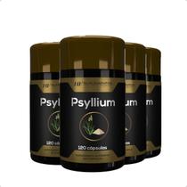 4x psyllium 120 cápsulas hf suplementos