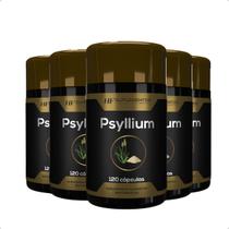 4x psyllium 120 cápsulas hf suplementos 4x psyllium 120 cápsulas hf suplementos