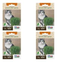 4x Semente Erva Petisco Graminha Para Gatos Saúde Intestinal 4x Semente Erva Petisco Graminha Para Gatos Saúde Intestinal