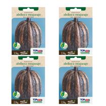4X Sementes Abóbora Mogango TOPSEED