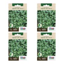 4X Sementes Agrião Da Terra TOPSEED 4X Sementes Agrião Da Terra TOPSEED