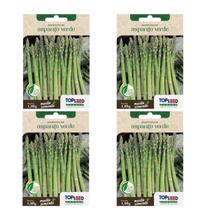 4X Sementes Aspargo Verde TOPSEED 4X Sementes Aspargo Verde TOPSEED