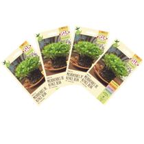 4X Sementes Brotos Microverdes de Alface Deva ISLA 4X Sementes Brotos Microverdes de Alface Deva ISLA