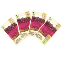4X Sementes Brotos Microverdes de Amaranto Asteca ISLA