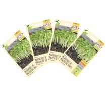4X Sementes Brotos Microverdes de Manjericão Shanti ISLA 4X Sementes Brotos Microverdes de Manjericão Shanti ISLA
