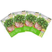 4X Sementes Brotos Microverdes de Rabanete Indra Super ISLA 4X Sementes Brotos Microverdes de Rabanete Indra Super ISLA