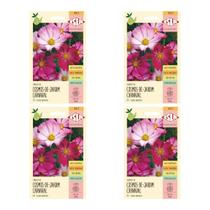 4X Sementes Cosmos-de-jardim (Carnaval) ISLA 4X Sementes Cosmos-de-jardim (Carnaval) ISLA