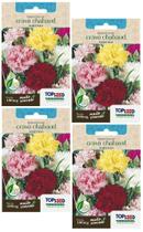 4X Sementes Cravo Chabaud (Sortido) TOPSEED