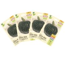 4X Sementes de Abóbora Hibrida Tetsukabuto ISLA