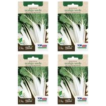 4X Sementes de Acelga Verde de Talos Brancos TOPSEED 4X Sementes de Acelga Verde de Talos Brancos TOPSEED
