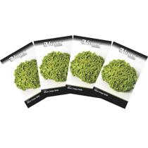4X Sementes de Alface Crespa Verde FELTRIN 4X Sementes de Alface Crespa Verde FELTRIN