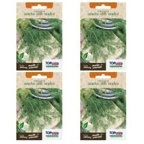 4X Sementes de Aneto/ Dill /Endro TOPSEED