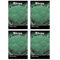 4X Sementes de Brócolis Calabrês de Cabeça FELTRIN