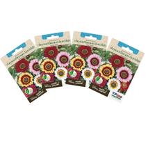 4X Sementes de Chrysanthemum Burridge (Sortidas) TOPSEED