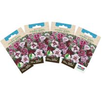 4X Sementes de Cravina Gaiety Dobrada (Sortida) TOPSEED 4X Sementes de Cravina Gaiety Dobrada (Sortida) TOPSEED