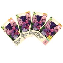 4X Sementes de Delphinium Esporinha Dobrada (Sortida) ISLA 4X Sementes de Delphinium Esporinha Dobrada (Sortida) ISLA