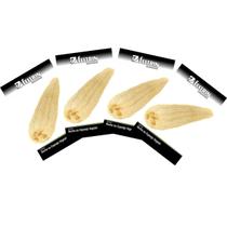 4X Sementes de Esponja Vegetal (Bucha Bob) FELTRIN 4X Sementes de Esponja Vegetal (Bucha Bob) FELTRIN