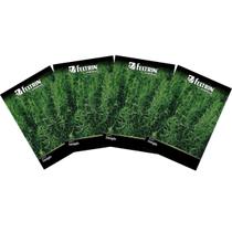 4X Sementes de Estragão FELTRIN 4X Sementes de Estragão FELTRIN