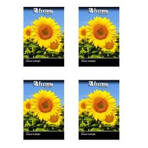 4X Sementes de Girassol Sunbright Amarelo FELTRIN
