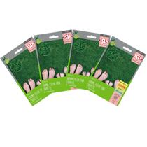 4X Sementes de Grama Carpete (Folha Fina) SUPER ISLA 4X Sementes de Grama Carpete (Folha Fina) SUPER ISLA