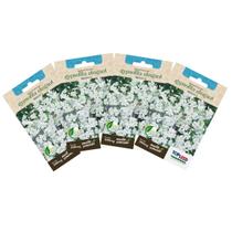 4X Sementes de Gypsofila Elegant Branca TOPSEED