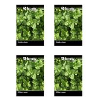 4X Sementes de Hortelã ou Menta Piperita FELTRIN 4X Sementes de Hortelã ou Menta Piperita FELTRIN