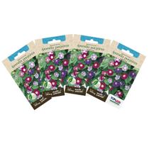 4X Sementes de Ipoméia Purpúrea (Sortida) TOPSEED