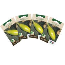 4X Sementes de Jiló Comprido (Verde Claro) TOPSEED 4X Sementes de Jiló Comprido (Verde Claro) TOPSEED