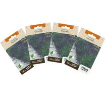4X Sementes de Lavanda TOPSEED 4X Sementes de Lavanda TOPSEED