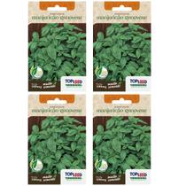 4X Sementes de Manjericão Genovese TOPSEED 4X Sementes de Manjericão Genovese TOPSEED