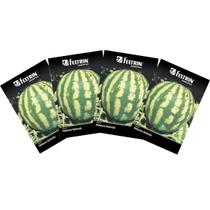 4X Sementes de Melancia Redonda Crimson Sweet FELTRIN 4X Sementes de Melancia Redonda Crimson Sweet FELTRIN