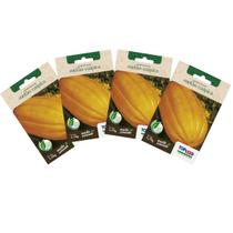 4X Sementes de Melão Caipira (Gaúcho) TOPSEED 4X Sementes de Melão Caipira (Gaúcho) TOPSEED