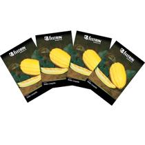 4X Sementes de Melão Gaúcho Comprido FELTRIN