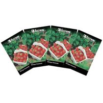 4X Sementes de Morango Ornamental Vermelho Ruge FELTRIN