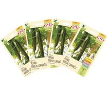 4X Sementes de Pepino Japonês Hiroshi ISLA 4X Sementes de Pepino Japonês Hiroshi ISLA