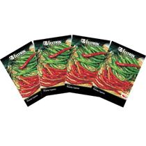 4X Sementes de Pimenta Cayenne Long Slim FELTRIN
