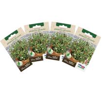 4X Sementes de Pimenta Picante para Vaso TOPSEED