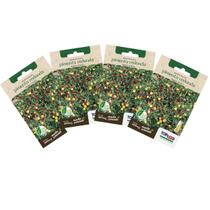 4X Sementes de Pimenta Redonda para Vaso TOPSEED 4X Sementes de Pimenta Redonda para Vaso TOPSEED