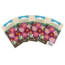 4X Sementes de Piretro Hibrido (Sortida) TOPSEED 4X Sementes de Piretro Hibrido (Sortida) TOPSEED
