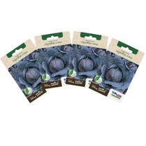 4X Sementes de Repolho Roxo TOPSEED 4X Sementes de Repolho Roxo TOPSEED