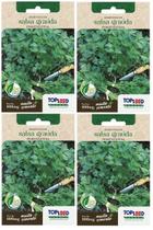 4X Sementes De Salsa Graúda (Portuguesa) TOPSEED 4X Sementes De Salsa Graúda (Portuguesa) TOPSEED