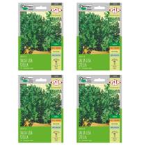 4X Sementes de Salsa Lisa Stella (2,80g) ISLA 4X Sementes de Salsa Lisa Stella (2,80g) ISLA