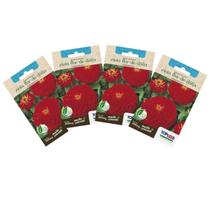 4X Sementes de Zinia Flor Dahlia Vermelha TOPSEED 4X Sementes de Zinia Flor Dahlia Vermelha TOPSEED