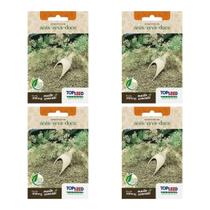 4X Sementes Erva-Doce (Anis) TOPSEED 4X Sementes Erva-Doce (Anis) TOPSEED